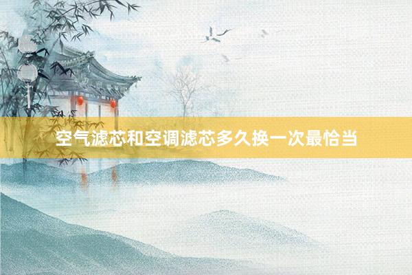 空气滤芯和空调滤芯多久换一次最恰当