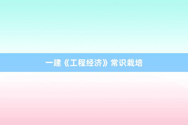 一建《工程经济》常识栽培