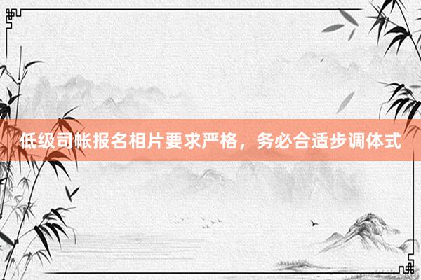 低级司帐报名相片要求严格，务必合适步调体式