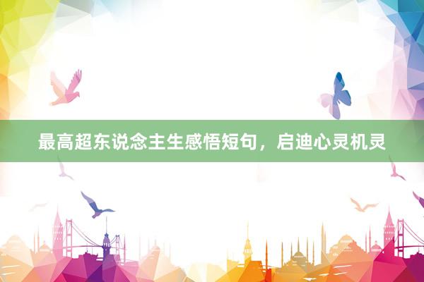 最高超东说念主生感悟短句，启迪心灵机灵
